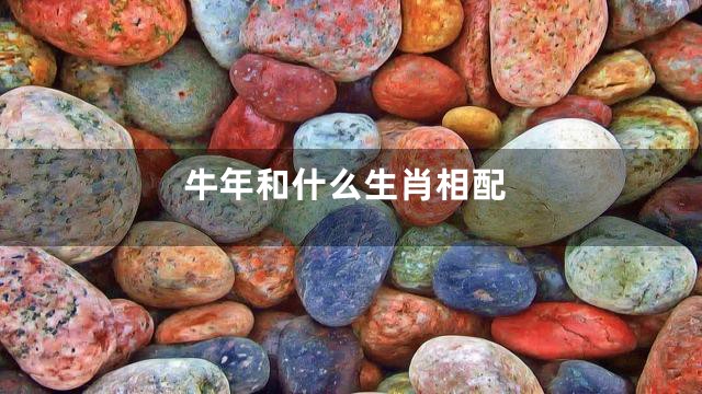 牛年和什么生肖相配