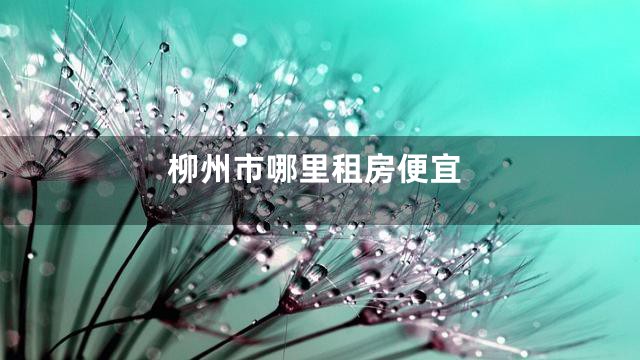 柳州市哪里租房便宜