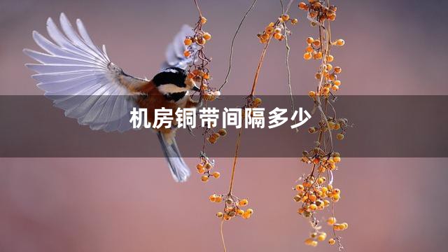 机房铜带间隔多少