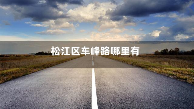 松江区车峰路哪里有