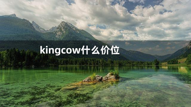 kingcow什么价位