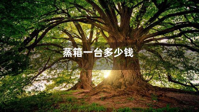 蒸箱一台多少钱