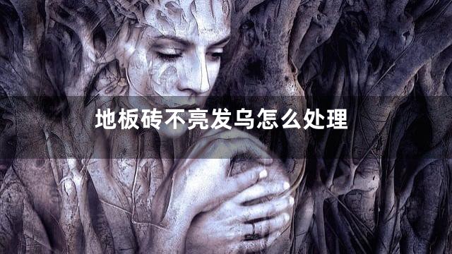 地板砖不亮发乌怎么处理