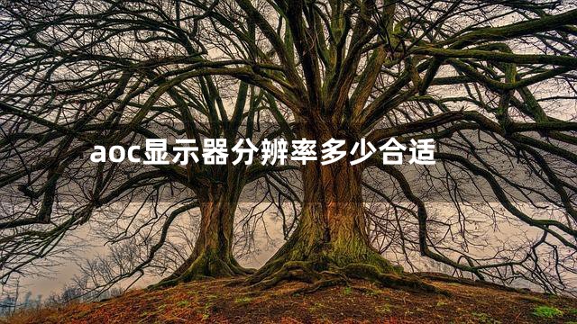 aoc显示器分辨率多少合适