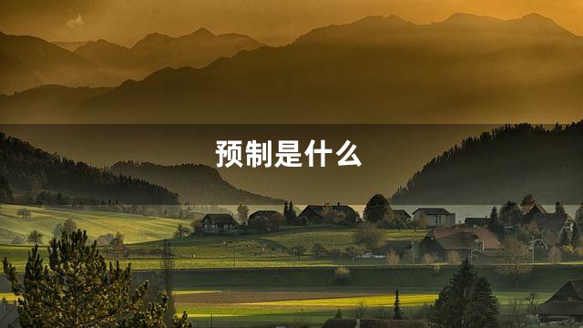 预制是什么