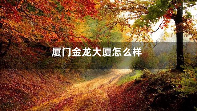 厦门金龙大厦怎么样