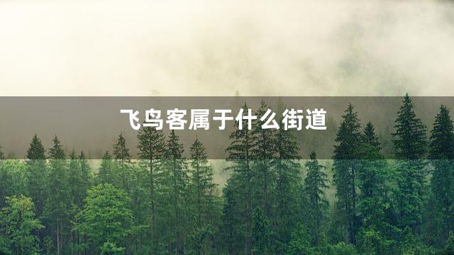 飞鸟客属于什么街道