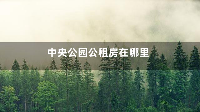 中央公园公租房在哪里