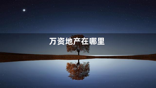 万资地产在哪里