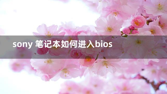 sony 笔记本如何进入bios