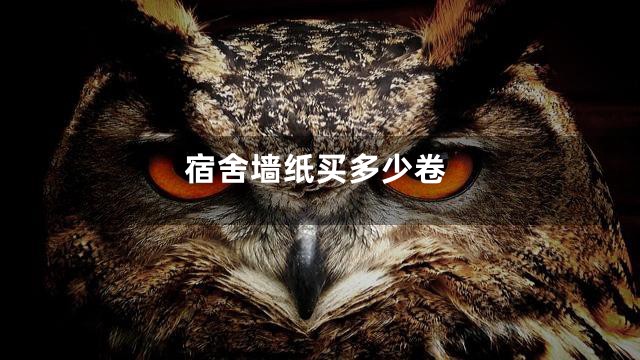 宿舍墙纸买多少卷