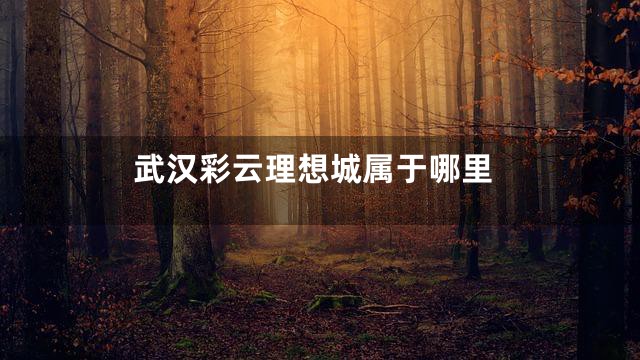 武汉彩云理想城属于哪里