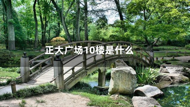 正大广场10楼是什么