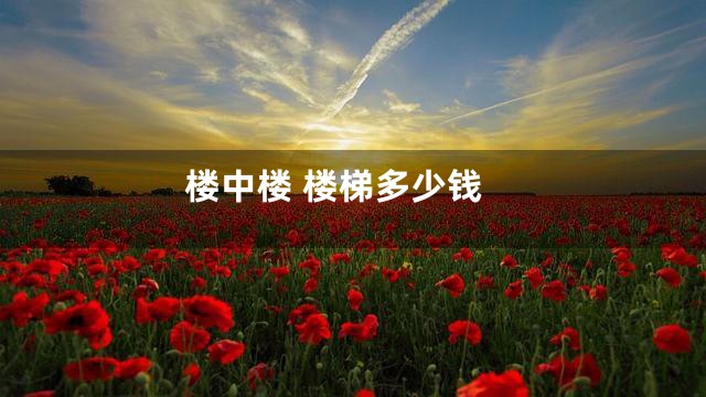 楼中楼 楼梯多少钱