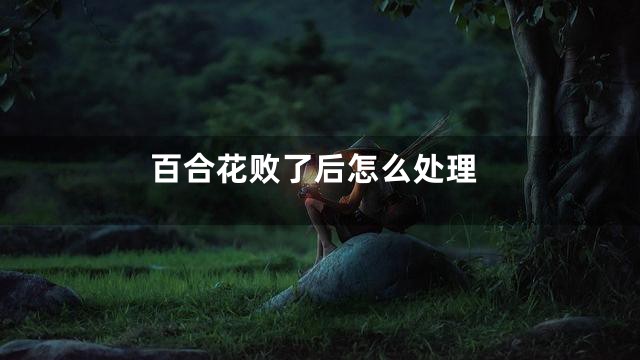 百合花败了后怎么处理