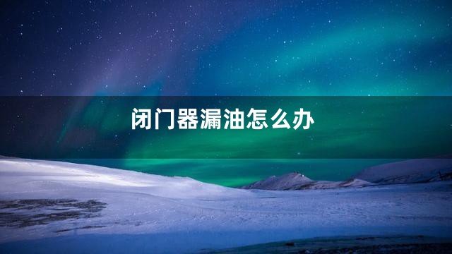 闭门器漏油怎么办