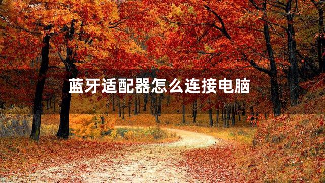 蓝牙适配器怎么连接电脑