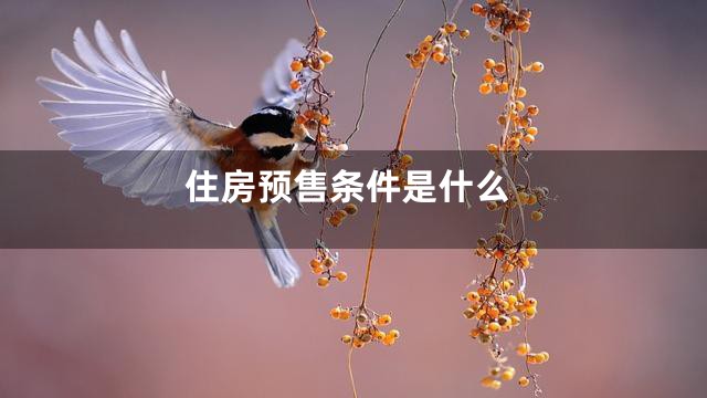 住房预售条件是什么