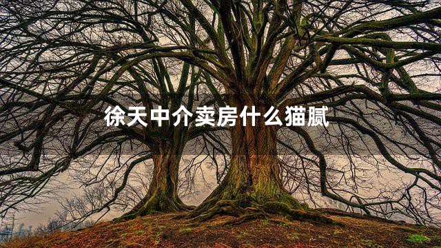 徐天中介卖房什么猫腻