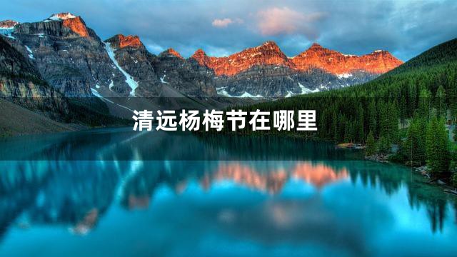 清远杨梅节在哪里