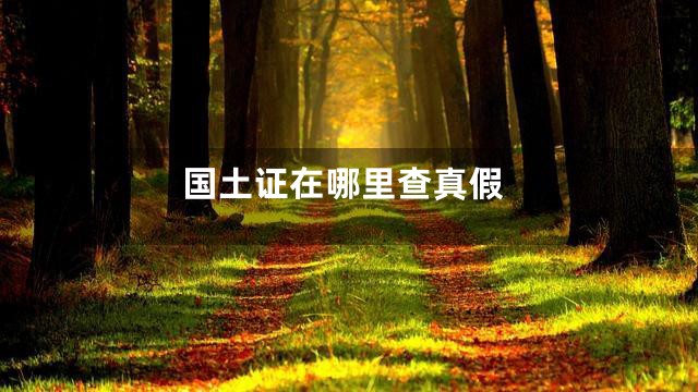 国土证在哪里查真假
