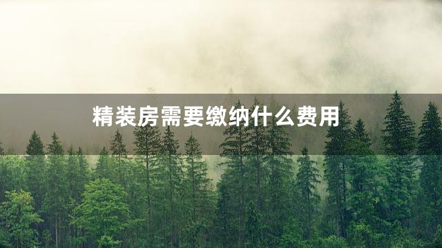 精装房需要缴纳什么费用