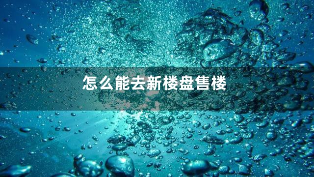 怎么能去新楼盘售楼