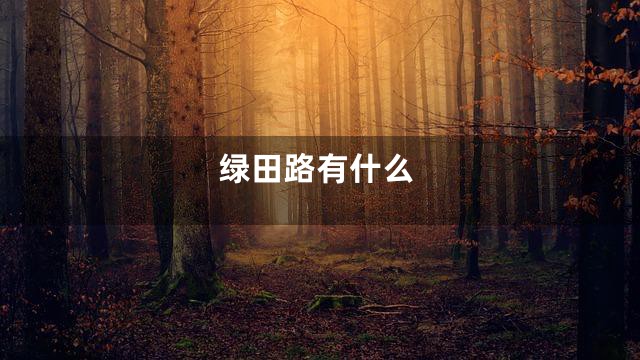 绿田路有什么