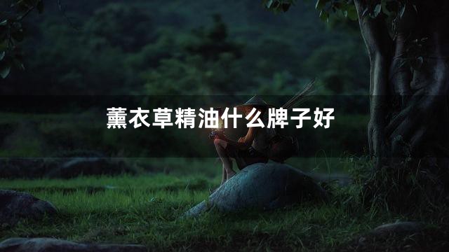 薰衣草精油什么牌子好