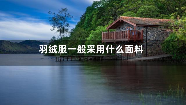 羽绒服一般采用什么面料