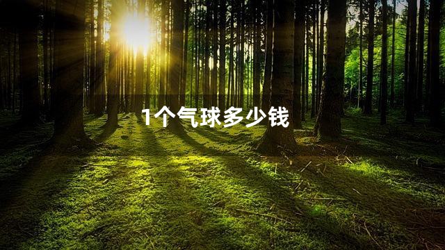 1个气球多少钱