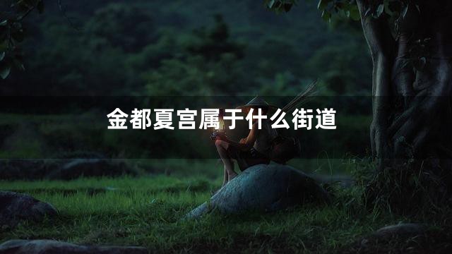 金都夏宫属于什么街道