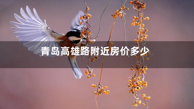 青岛高雄路附近房价多少