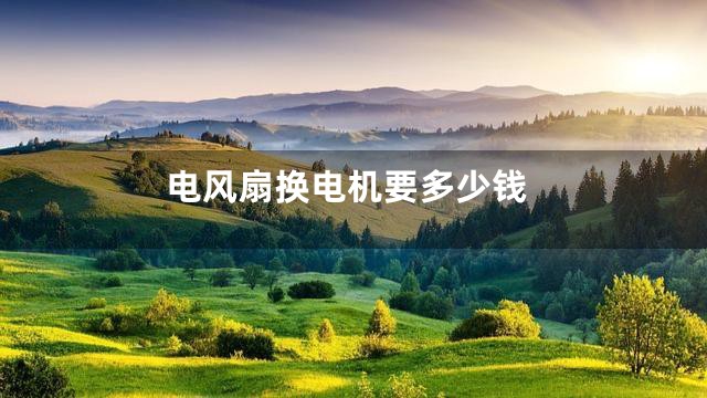 电风扇换电机要多少钱
