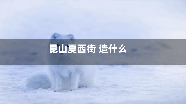 昆山夏西街 造什么