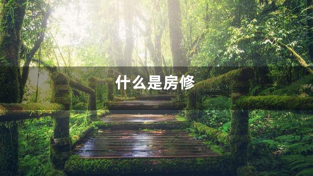 什么是房修