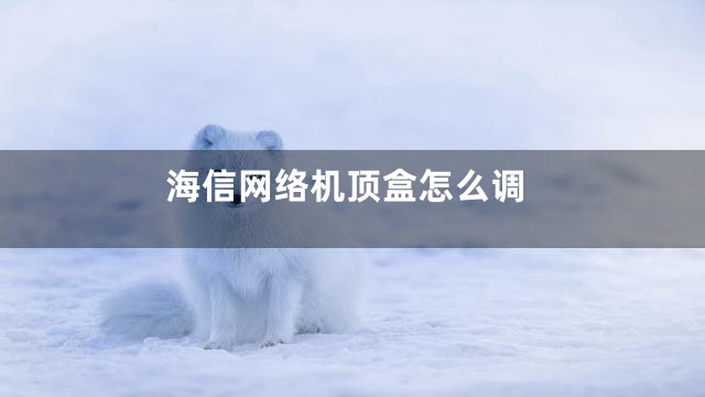 海信网络机顶盒怎么调