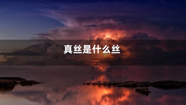 真丝是什么丝