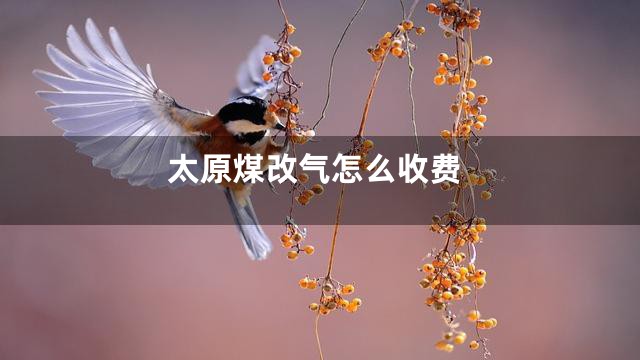 太原煤改气怎么收费