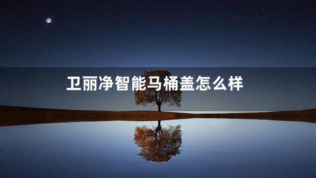 卫丽净智能马桶盖怎么样