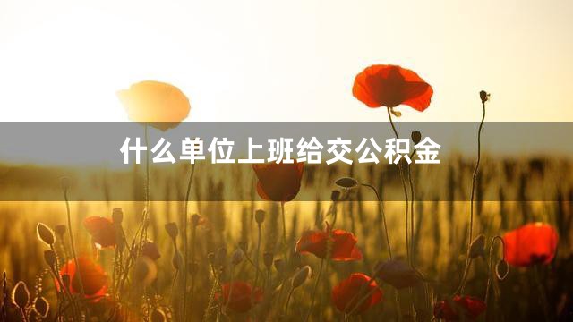 什么单位上班给交公积金