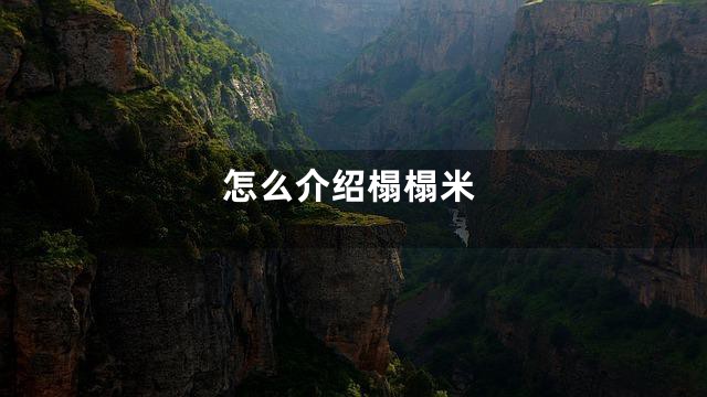 怎么介绍榻榻米