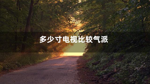 多少寸电视比较气派