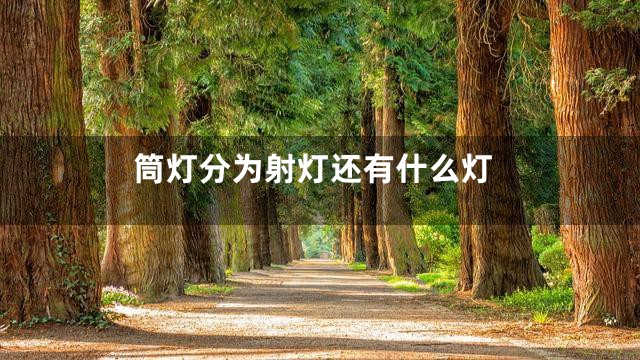 筒灯分为射灯还有什么灯