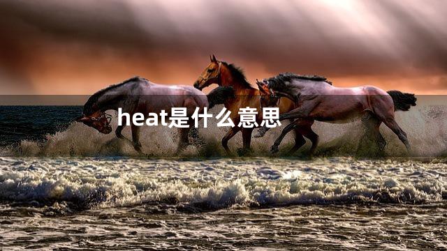 heat是什么意思