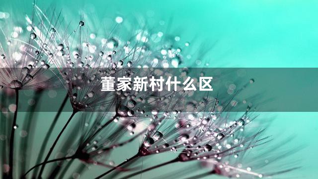 董家新村什么区