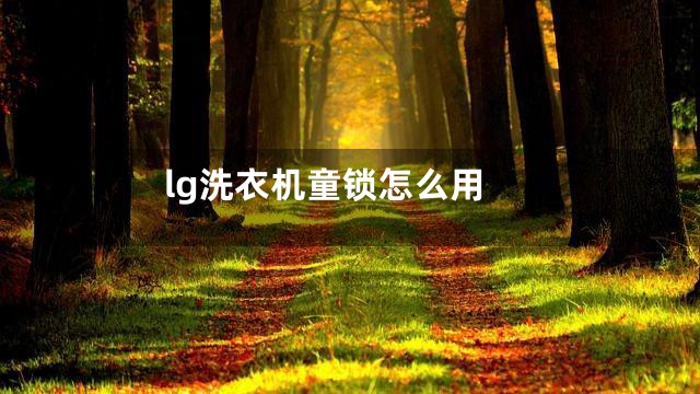 lg洗衣机童锁怎么用