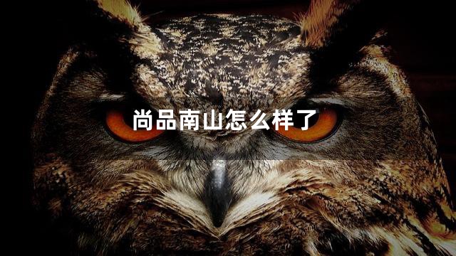 尚品南山怎么样了