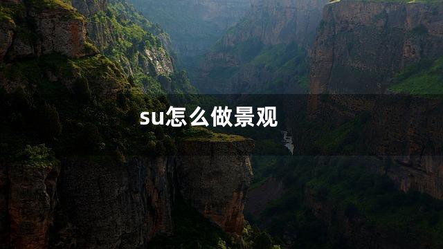 su怎么做景观