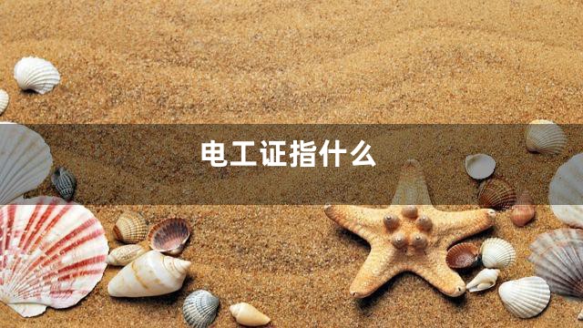 电工证指什么